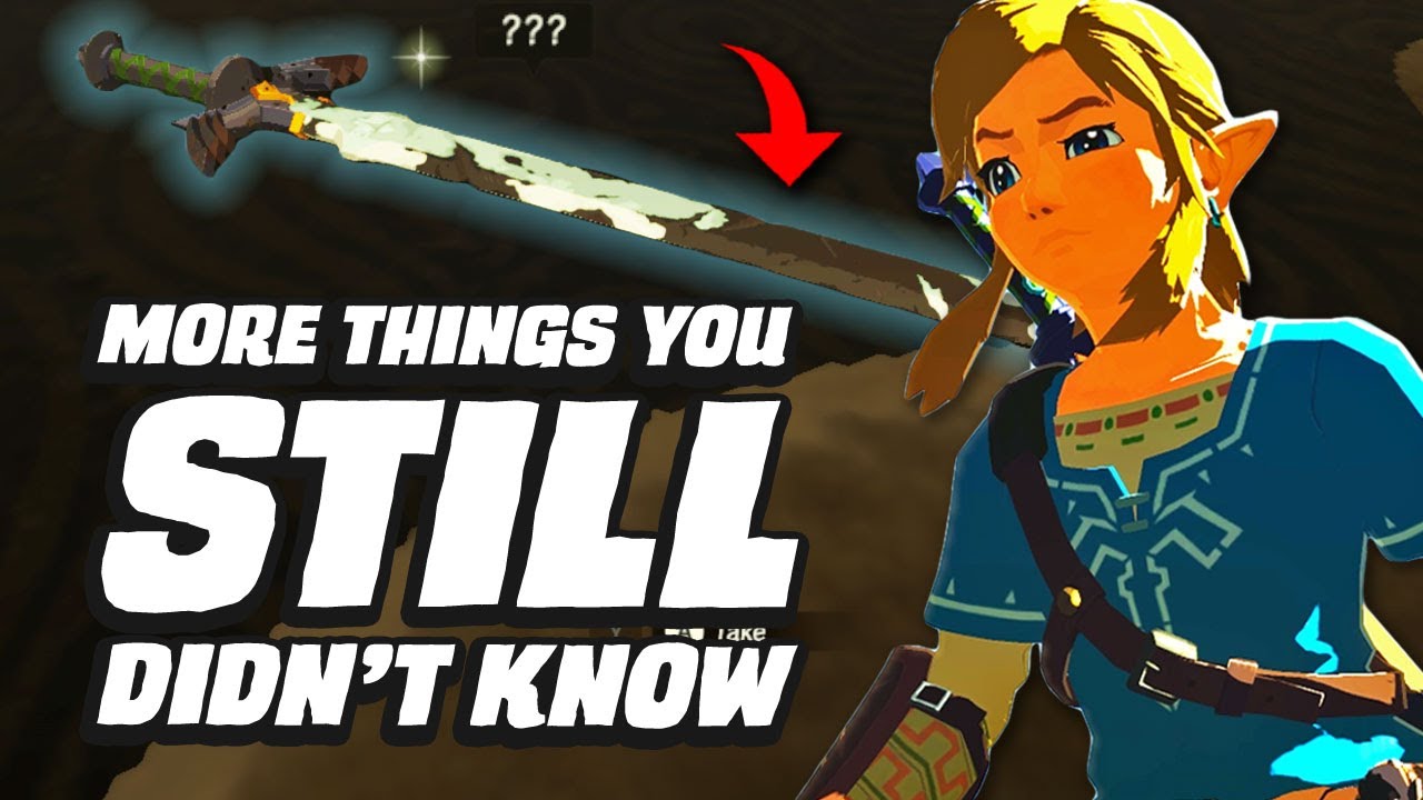 image 0 19 More Things You Still Didn't Know In Zelda Breath Of The Wild