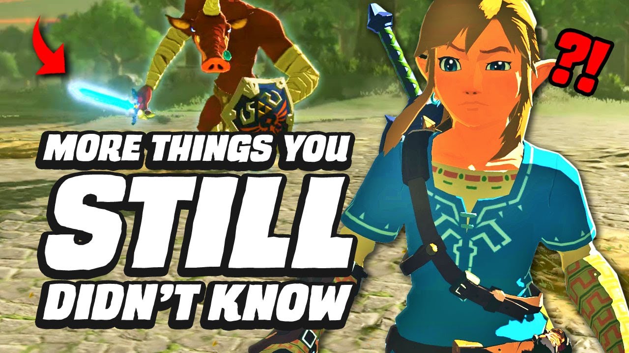image 0 26 More Things You Still Didn't Know In Zelda Breath Of The Wild