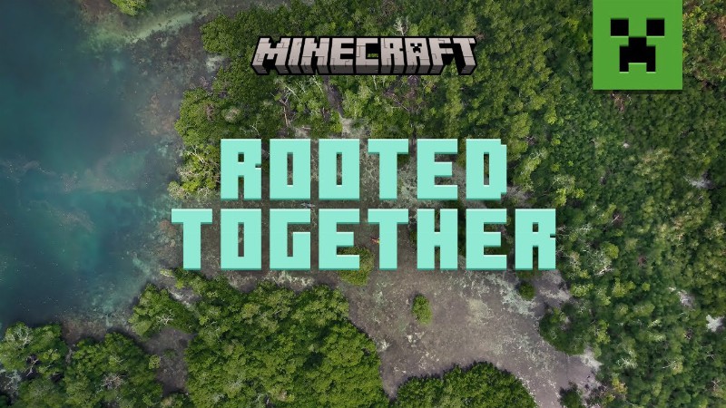 Minecraft Mangroves: Building A Better World